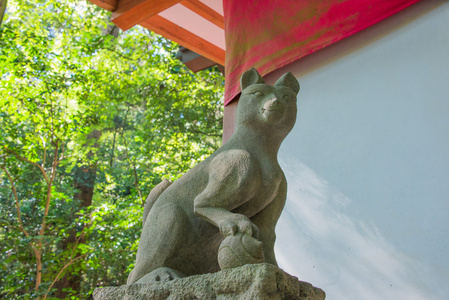 监护人福克斯霍多桑神社 秩父 nagatoro 埼玉县，日本