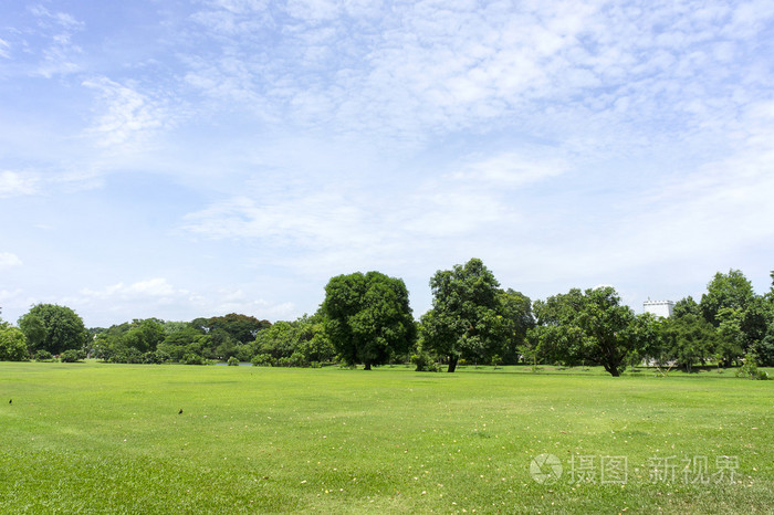 蓝蓝的天空景观的绿色花园