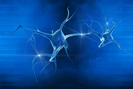 神经元三维图