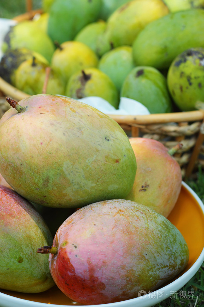 芒果芒果苹果