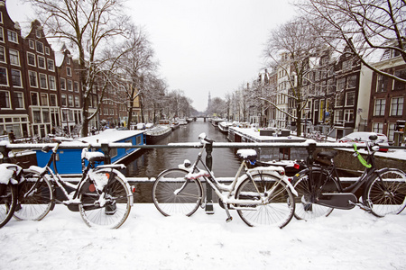 覆盖着雪的冬天在荷兰的阿姆斯特丹