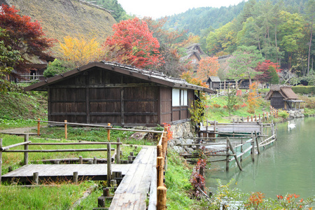 秋天的彩色的树木飞驒民俗村高山日本