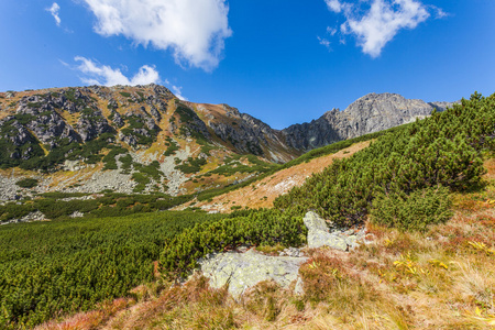 美丽的景色在塔特拉山