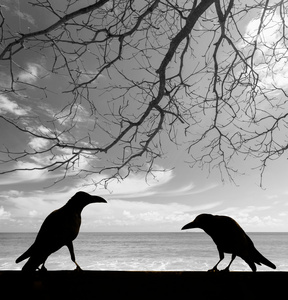 剪影乌鸦与死树背景
