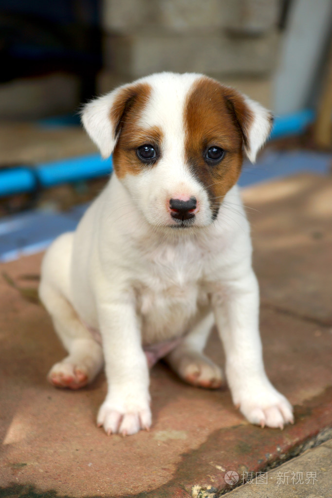 682_1023竖版 竖屏