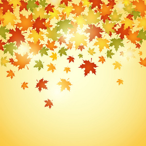 秋季背景与叶子矢量图