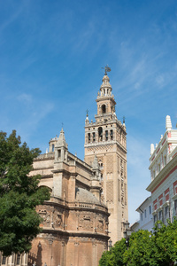 giralda 塔在塞维利亚大教堂