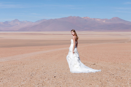 在上高原的高原，玻利维亚的沙漠中的新娘