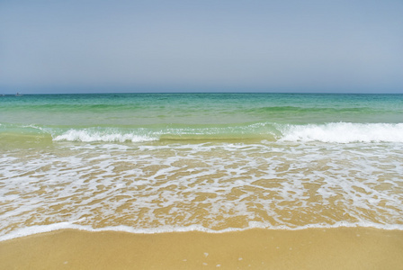 海滩和热带海