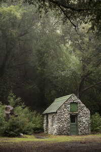 森林里的小石头小屋图片