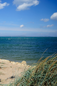 海景