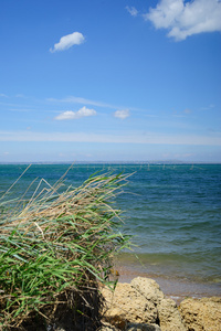 海景