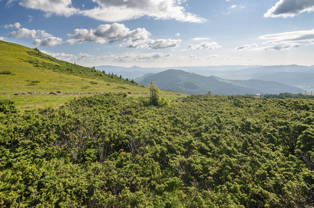 在乌克兰喀尔巴阡山