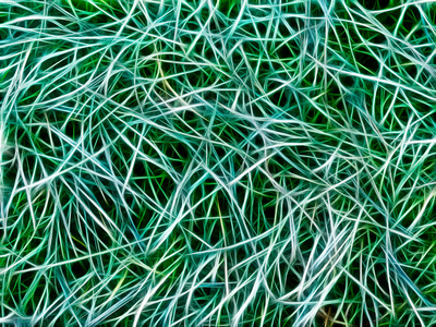 绿草抽象
