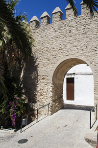 阿尔卡萨瓦墙和门