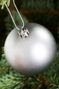 一个银色圣诞球挂上一棵树