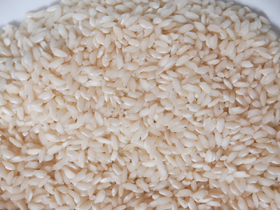 稻米食品