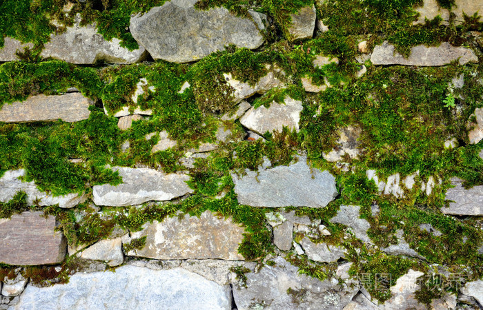 绿色的青苔石头墙上