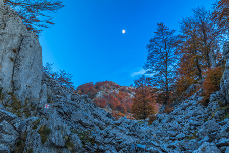 山风景