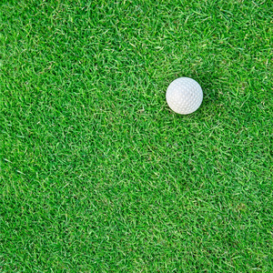 高尔夫球场球在草地上，为 web 背景