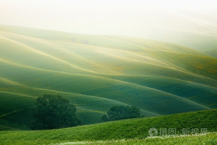 托斯卡纳的丘陵景观