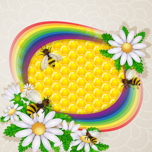 朵雏菊花，蜜蜂在蜂巢和彩虹背景