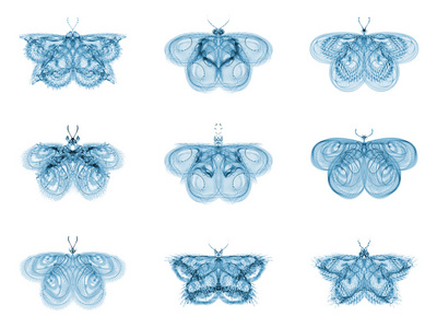 隐喻性分形蝴蝶