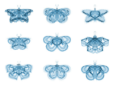 隐喻性分形蝴蝶