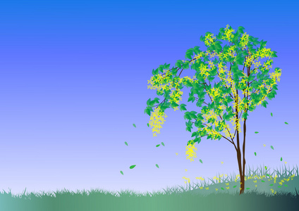 春天 tree.vector