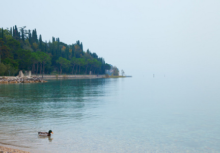 湖泊风景