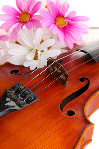 古典小提琴用鲜花关门