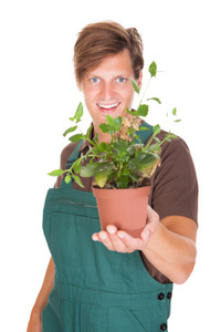 抱着盆栽的植物的雄性园丁图片