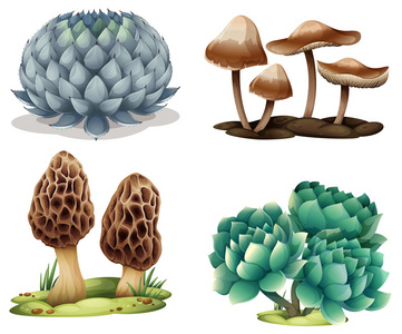仙人掌和蘑菇
