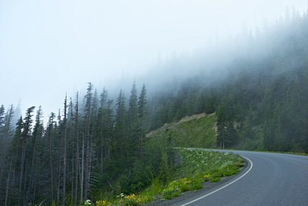 雾山道路