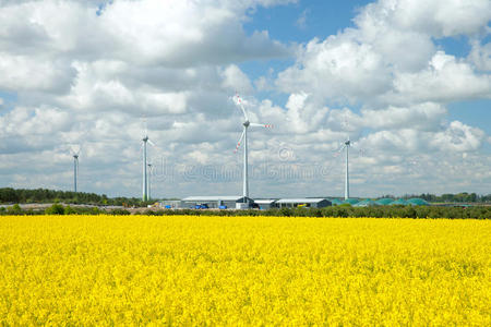 油菜田农业机库和风力发电机组