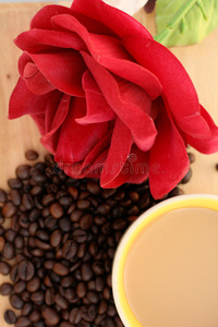 热咖啡豆