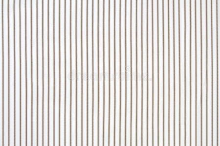 白色条纹衬衫照片