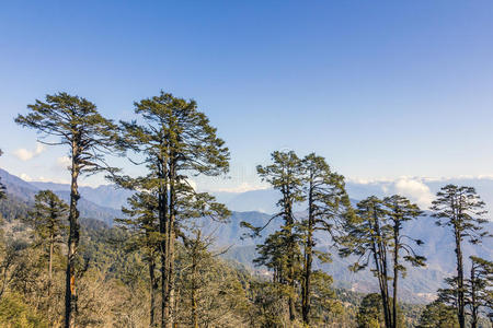 喜马拉雅景观