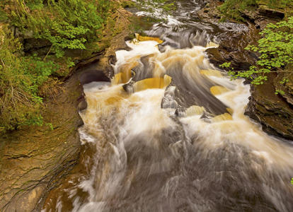森林溪流中的水和岩石