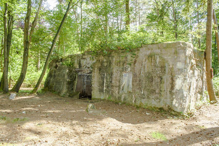 一战时期佛兰德斯战地的碉堡照片