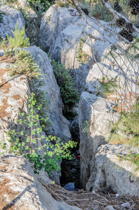 南非 裂纹 破裂 植物 环境 裂缝 缺口 地质 危险的 石灰石