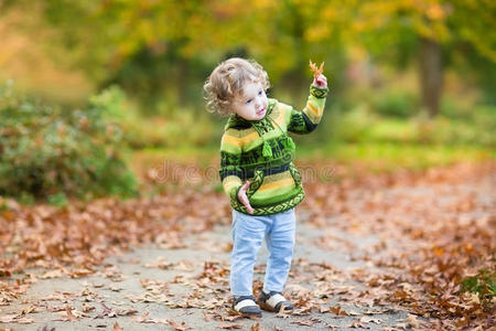 自然 花园 落下 小孩 可爱极了 生活 浆果 有趣的 颜色