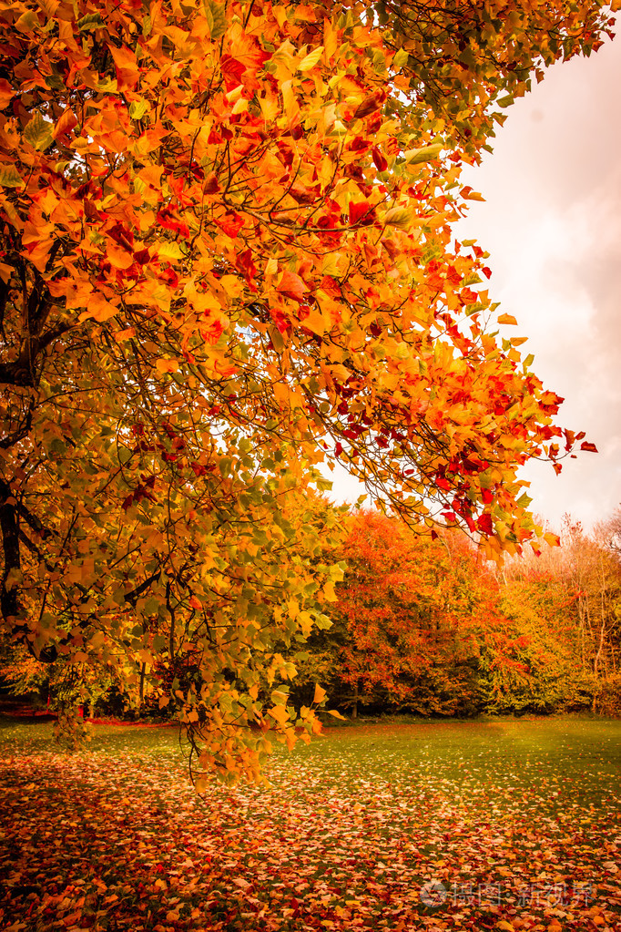 秋天风景照片-正版商用图片1e0ido-摄图新视界