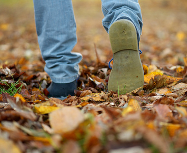 从后方在秋天的落叶上行走的鞋