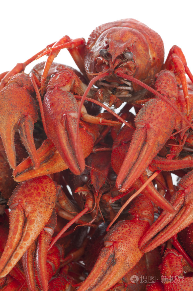 堆的红色煮小龙虾