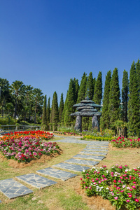 美丽的花园，在夏天