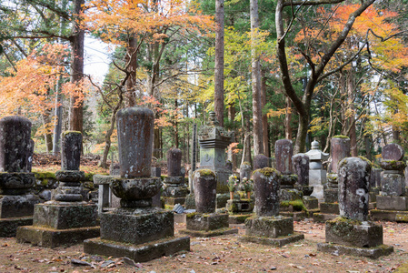 在 kanmangafuchi，日航，日本老公墓