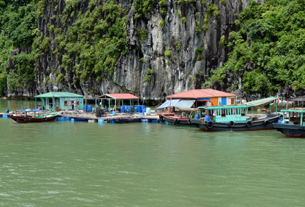 渔民漂浮在著名龙湾村