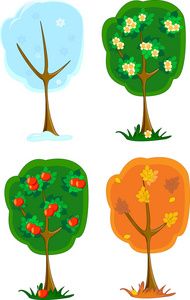 四季树图片