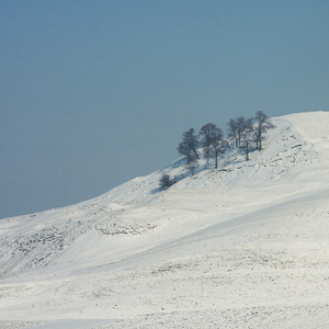 冬季景观